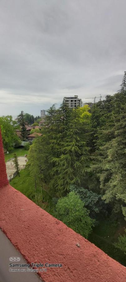 Студия Радуга У Моря Колхида บาทูมิ ภายนอก รูปภาพ