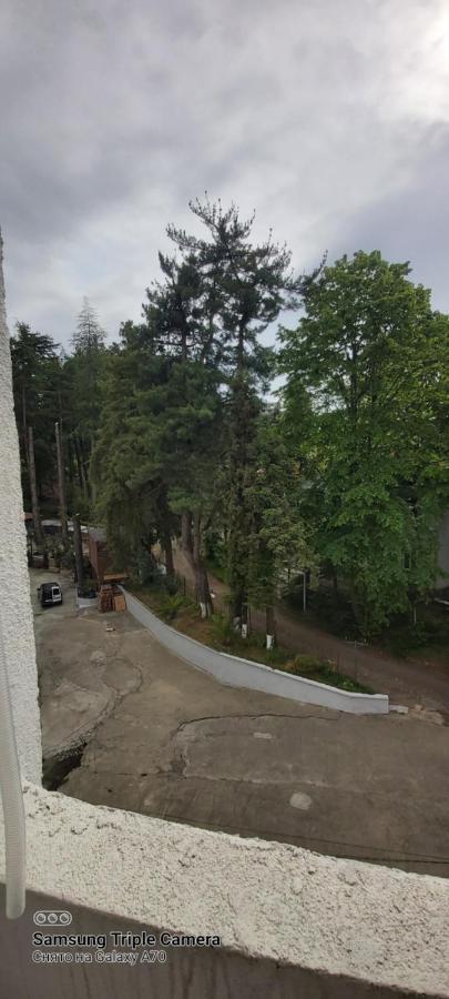 Студия Радуга У Моря Колхида บาทูมิ ภายนอก รูปภาพ